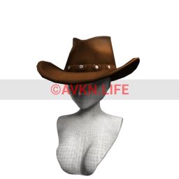 Wild Wild Western Hat