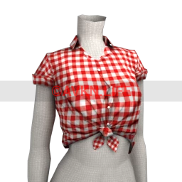 Sunny Picnic Crop Top