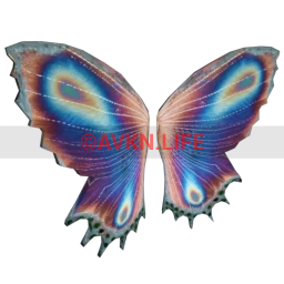 Cosmos Iridescent Morpho Butterfly Wings