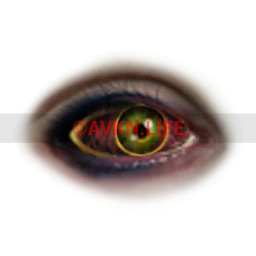 Flawless Blood Zombie Eyes