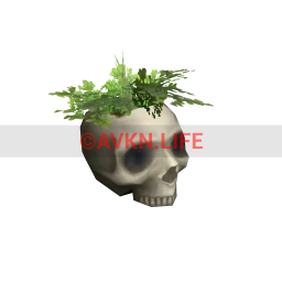 Salem Skull Planter