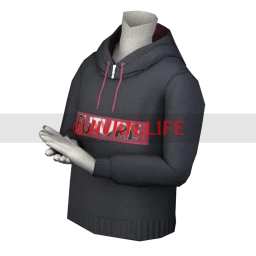 USAesthetic Future Hoodie