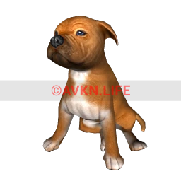 American Staffordshire Terrier Puppy - Brown