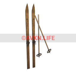 Luxe Vintage Skis