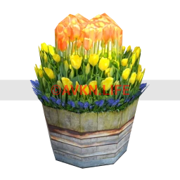 Regenboog Bucket of Tulips