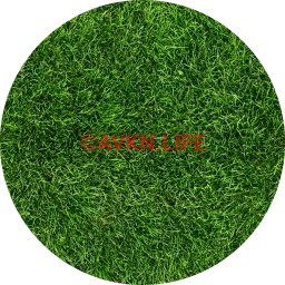 Greener Pastures Artificial Grass