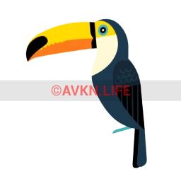 Brazil Toucan Sticker