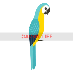 Brazil Parrot Sticker