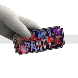 4th July Party Ticket