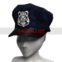 Cosmos Cop Hat