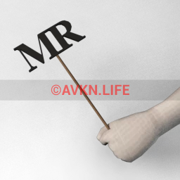 AvakinSnaps "Mr" Sign