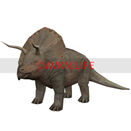 Triceratops