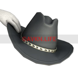 USAesthetic Cowboy Hat Prop