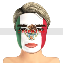 Mexican Flag Facepaint