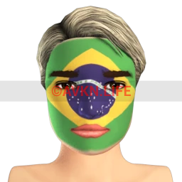 Brazilian Flag Facepaint