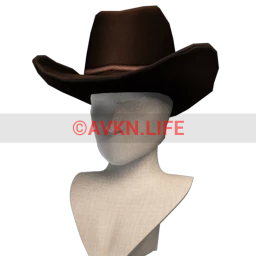 Yeehaw! Western Hat