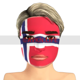 Norwegian Flag Facepaint