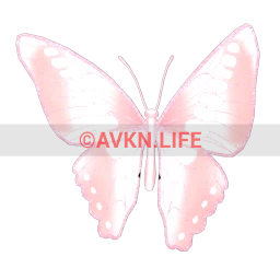 Cosmos Fairy Friend Wings (Pink)