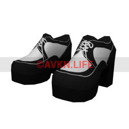 Dance Master Shoes