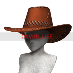 Cosmos Round 'Em Up Cowgirl Hat