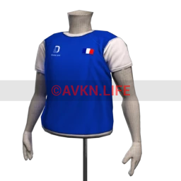 Male French Football Shirt