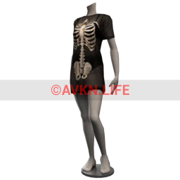 Foal X-Ray Vision Mesh Dress