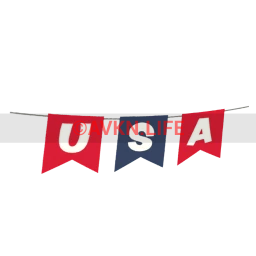 USA Sticker