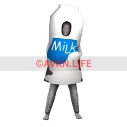 Cosmos Milk Carton Costume