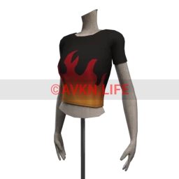 Delirious Squid Flames Crop Top