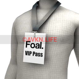 Fashion Week VIP Pass - Foal