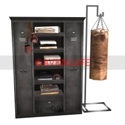 Industrial Automated Gym Locker