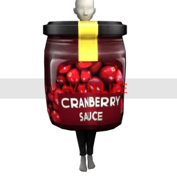 Cosmos Cranberry Sauce Costume