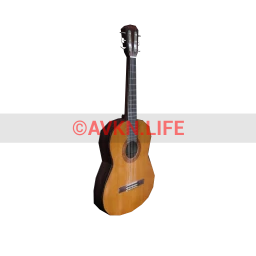 Standing Acoustic Guitar