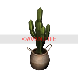 Cactus in Wicker Basket