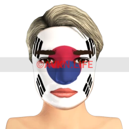 South Korean Flag Facepaint