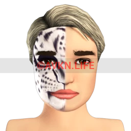 Kijane Handsome as a Tiger Facepaint