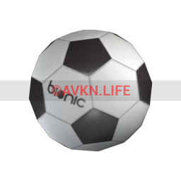 Bionic Soccer Ball