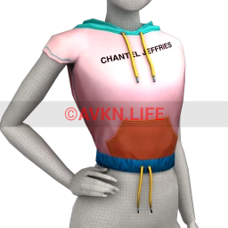 Chantel Jeffries Hoodie